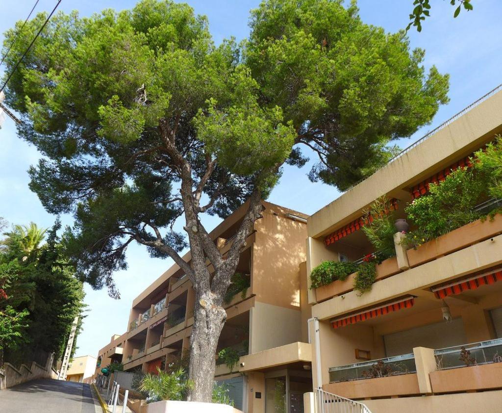 Studio Bandol Centre 2 Etoiles Ideal Emplacement Екстериор снимка