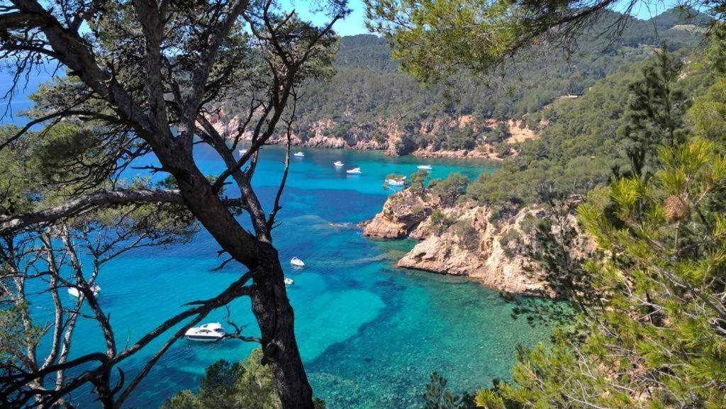 Studio Bandol Centre 2 Etoiles Ideal Emplacement Екстериор снимка