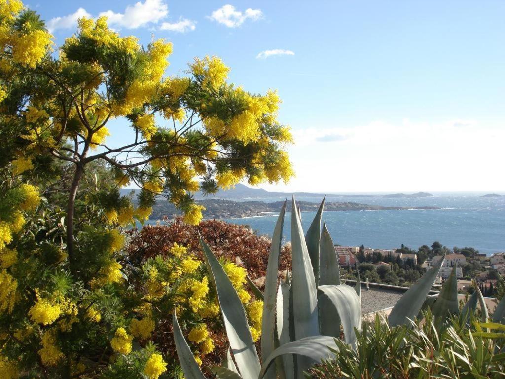 Studio Bandol Centre 2 Etoiles Ideal Emplacement Екстериор снимка